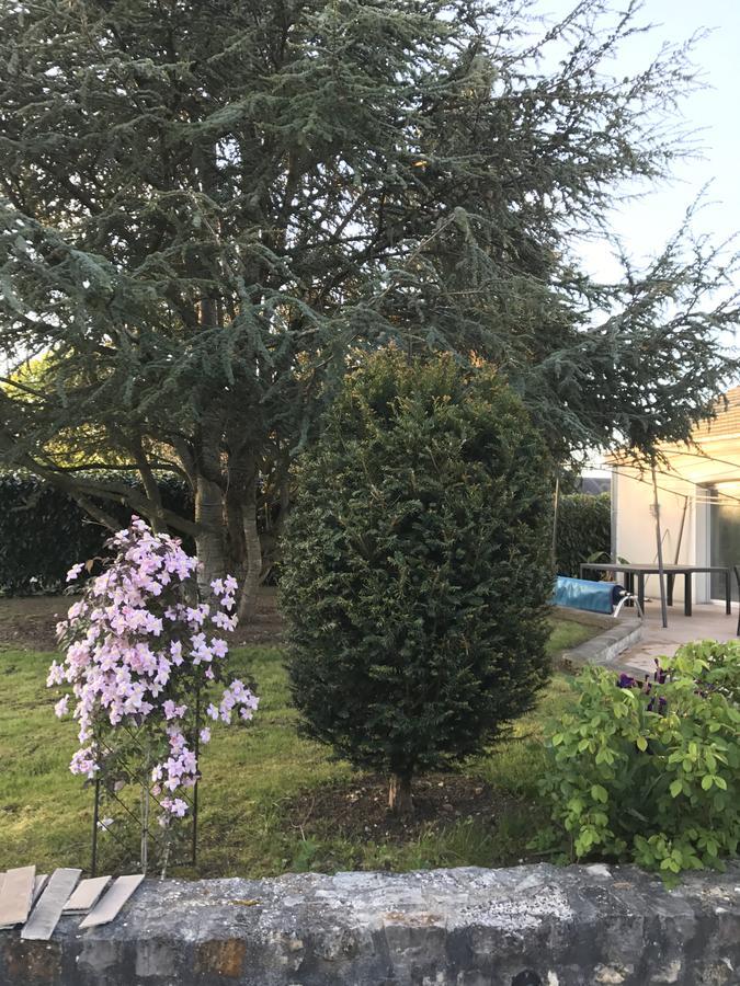 La Soierie Ξενοδοχείο Châteauroux Εξωτερικό φωτογραφία